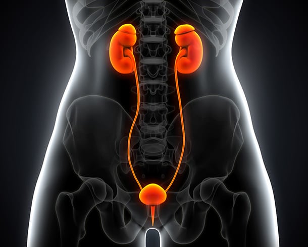 kidney-cyst