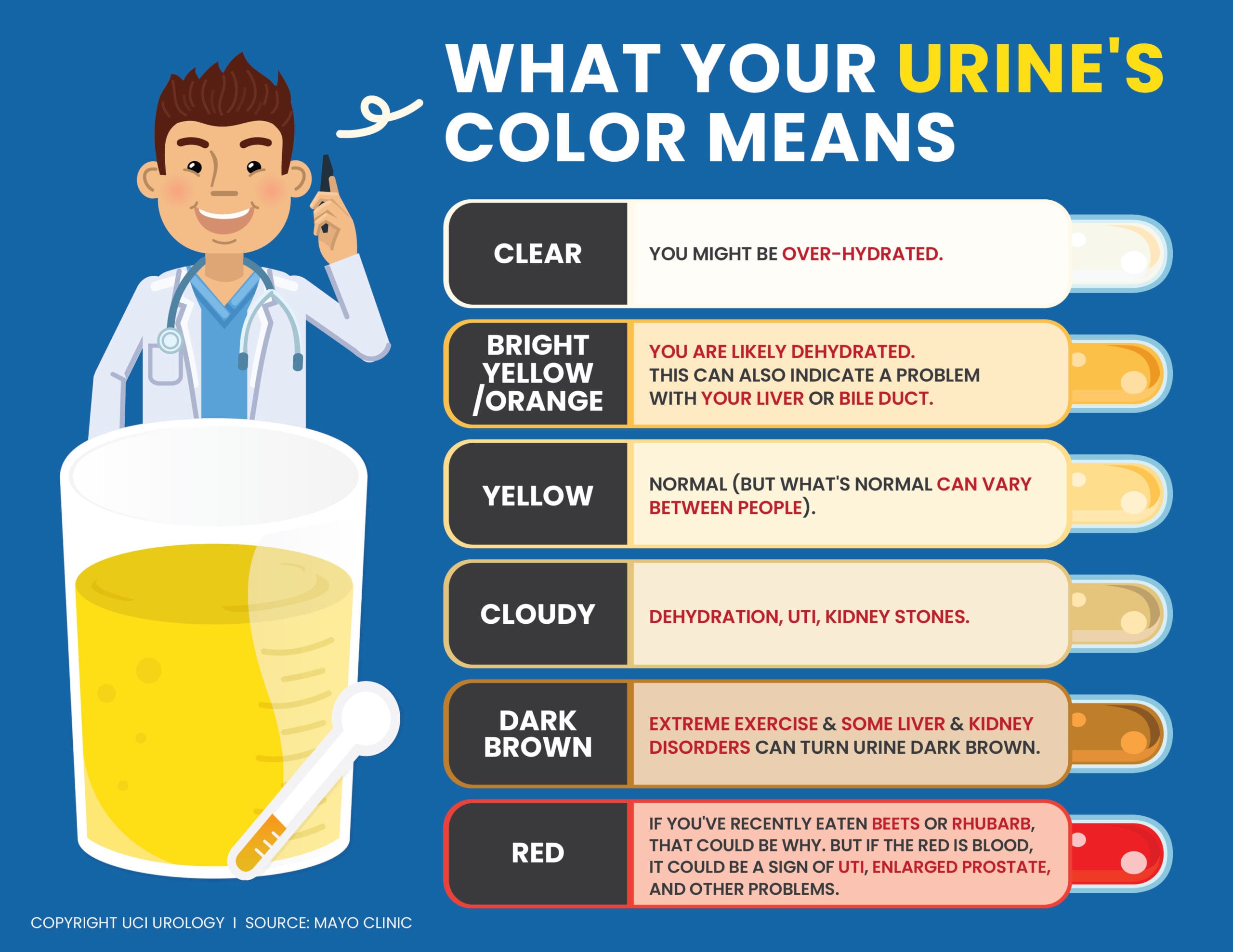urine color chart - an infographic showing what your urine’s color could mean