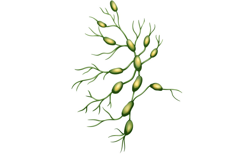 Discussing-Lymph-Node-Dissection-2