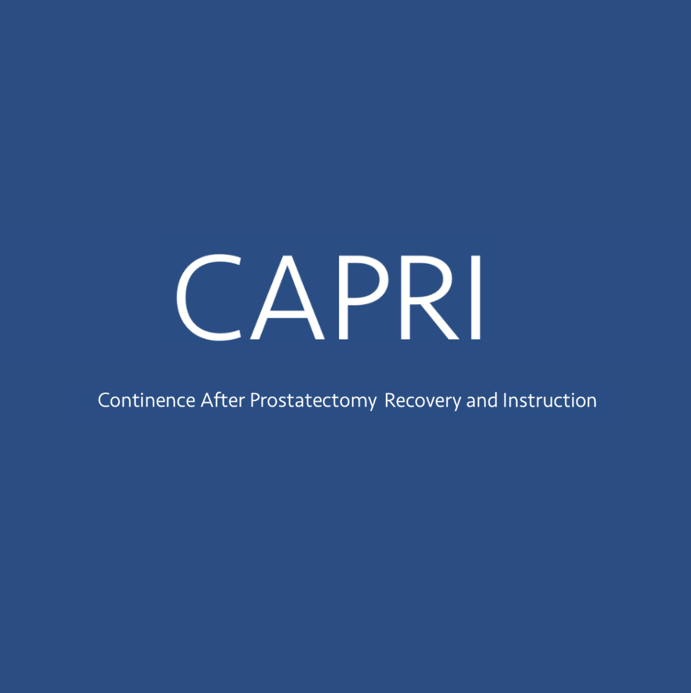 CAPRI Monthly Workshop