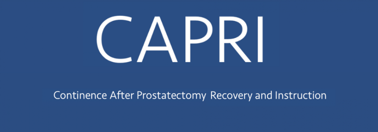 CAPRI Monthly Workshop